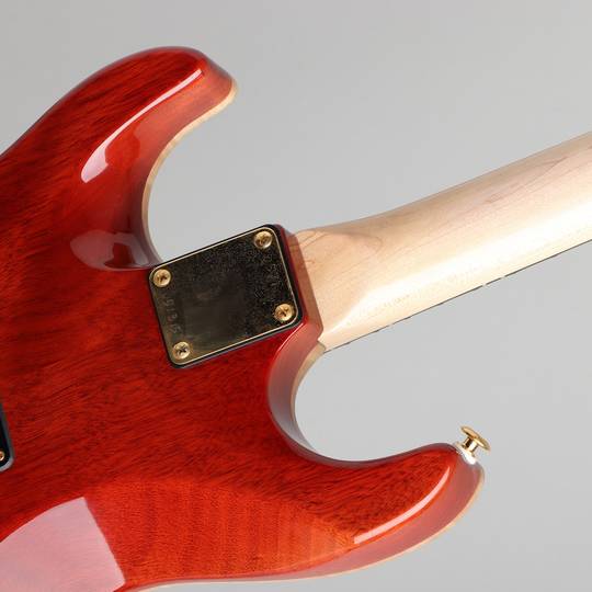Pensa Custom Guitars MK-1 HH Style Tiger Eye 2015 ペンサ カスタム ギターズ サブ画像12