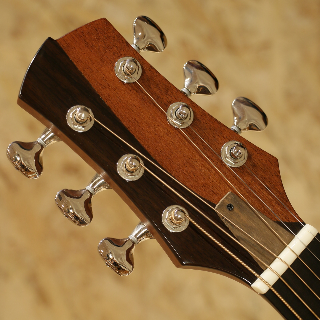 Berg Guitars A5C Rose ベルグギター サブ画像7