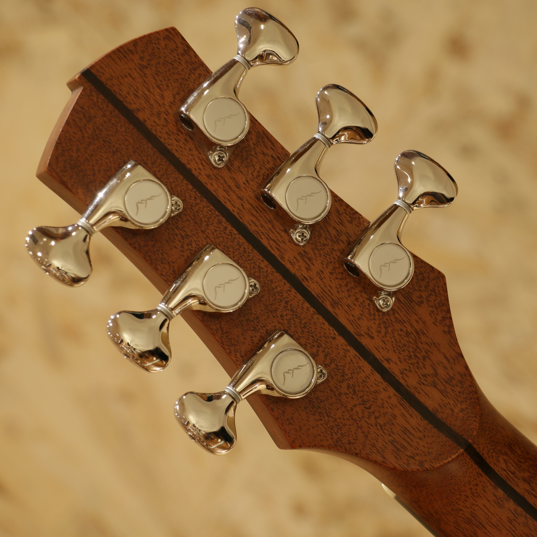 Berg Guitars A5C Rose ベルグギター サブ画像8