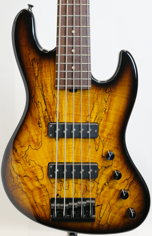 SADOWSKY NYC 5-21 Standard Spalted Maple Top サドウスキーニューヨーク