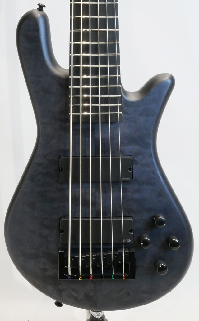 SPECTOR NS Pulse 6 II / Black Stain スペクター
