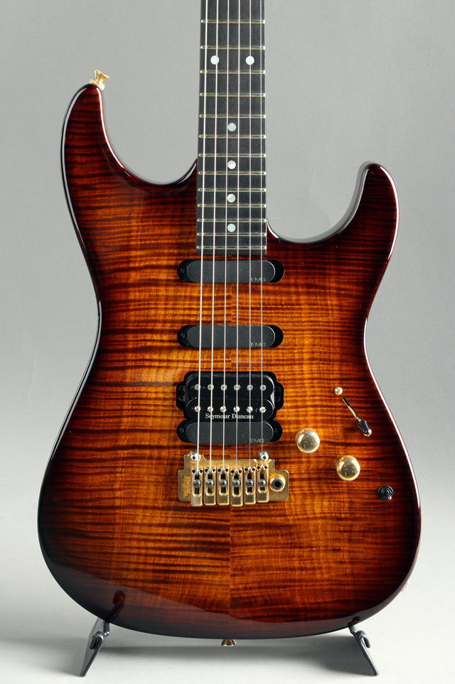 Custom Made Stratocaster Type