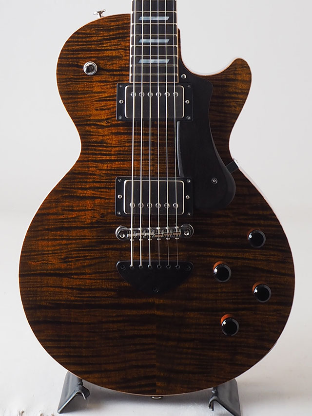 Grain Arched Curry Maple Top Ebony FB Tiger Brown