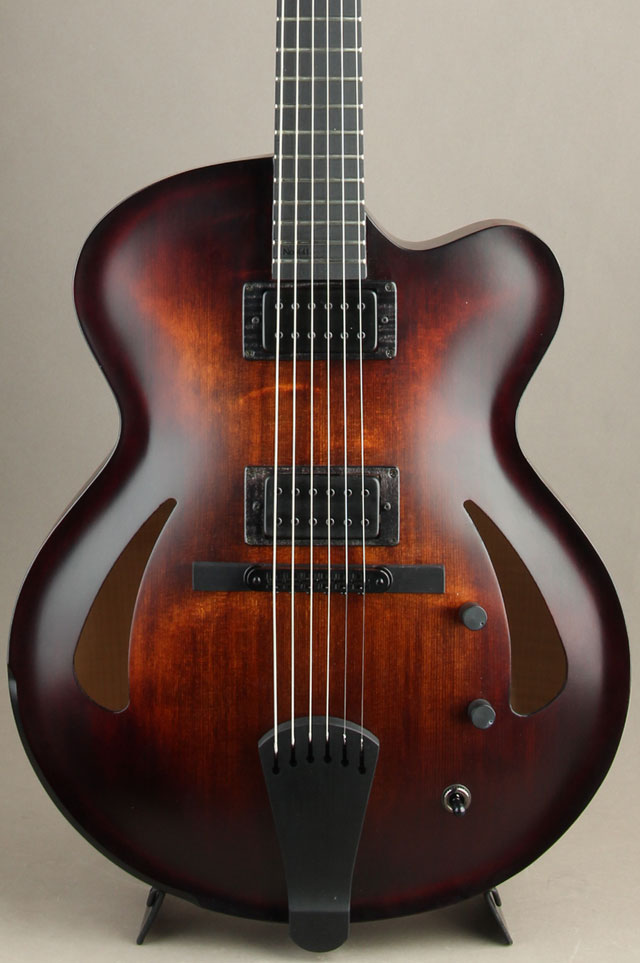 Victor Baker Guitars Model 15 Archtop Gilad Hekselman Model ヴィクター ベイカー サブ画像1