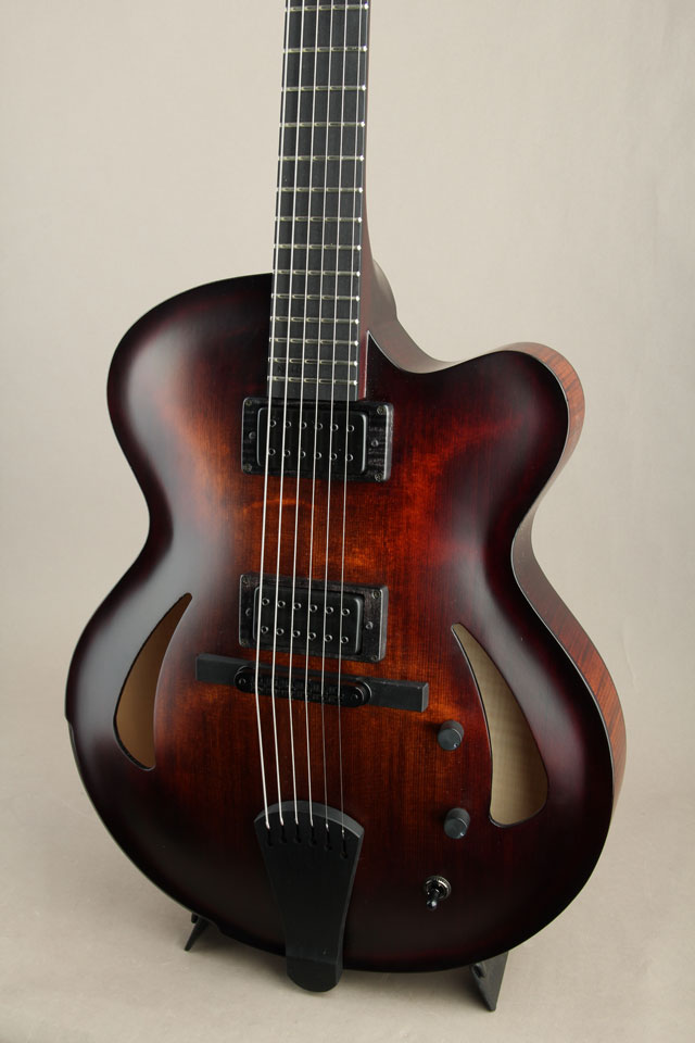 Victor Baker Guitars Model 15 Archtop Gilad Hekselman Model ヴィクター ベイカー サブ画像10