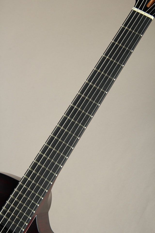 Victor Baker Guitars Model 15 Archtop Gilad Hekselman Model ヴィクター ベイカー サブ画像7