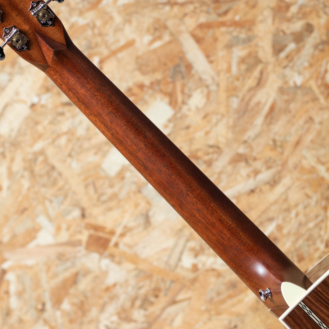 CTM OM European Spruce × Indian Rosewood