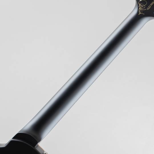 Mark Tremonti Signature Limited Edition