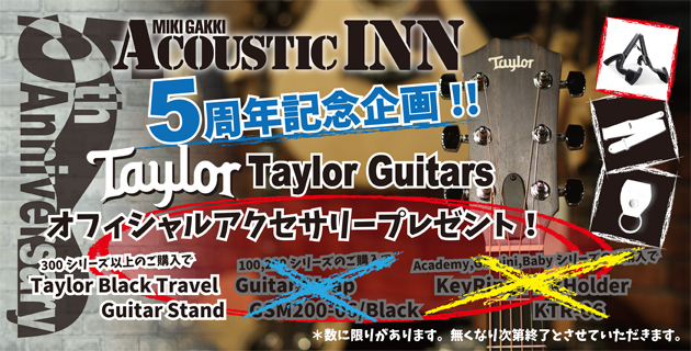 Taylor Guitars AcousticINN5周年記念企画