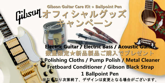 GIBSON NOVELTY CAMPAIGN