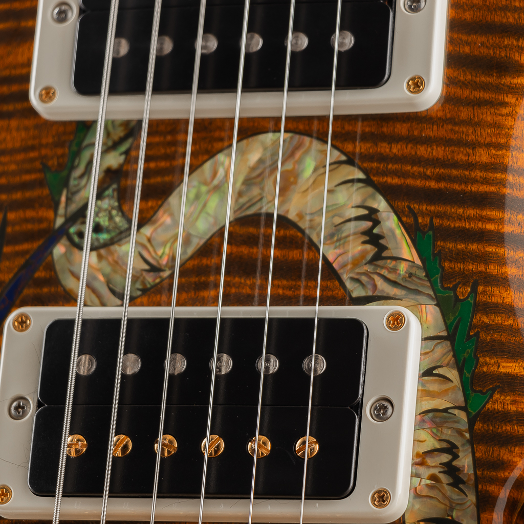 Paul Reed Smith Private Stock #5464 30th Anniversary Dragon Limited Tiger Eye 2015 ポールリードスミス サブ画像16