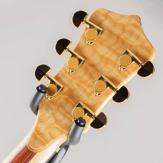 ALEMBIC Darling 5A Quilted Maple Top /w LED Mono Output 2012 アレンビック サブ画像6