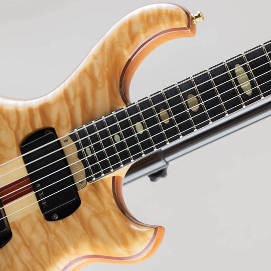 ALEMBIC Darling 5A Quilted Maple Top /w LED Mono Output 2012 アレンビック サブ画像11