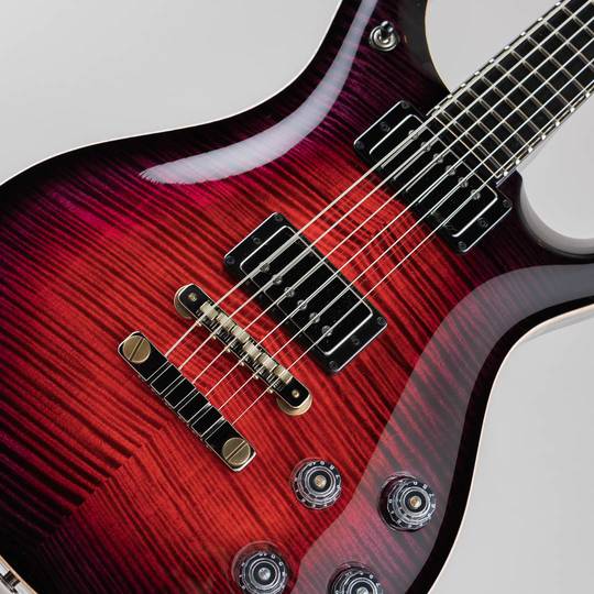 Paul Reed Smith Private Stock McCarty 594 Graveyard II Limited Raven's Heart ポールリードスミス サブ画像10