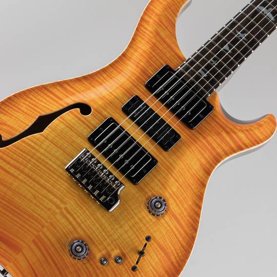 Paul Reed Smith PRS Private Stock #10033 Special Semi-Hollow Limited Edition Citrus Glow 2022 ポールリードスミス サブ画像10