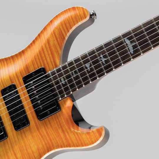 Paul Reed Smith PRS Private Stock #10033 Special Semi-Hollow Limited Edition Citrus Glow 2022 ポールリードスミス サブ画像11