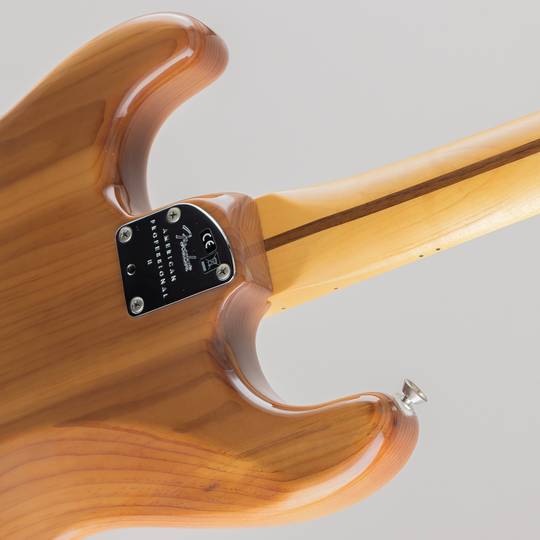 FENDER American Professional II Stratocaster Roasted Pine Maple FB 2020 フェンダー サブ画像12