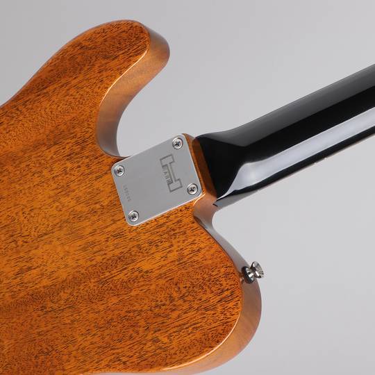HAHN GUITARS Model : 1229-2P Gold Sparkle ハーンギターズ サブ画像12