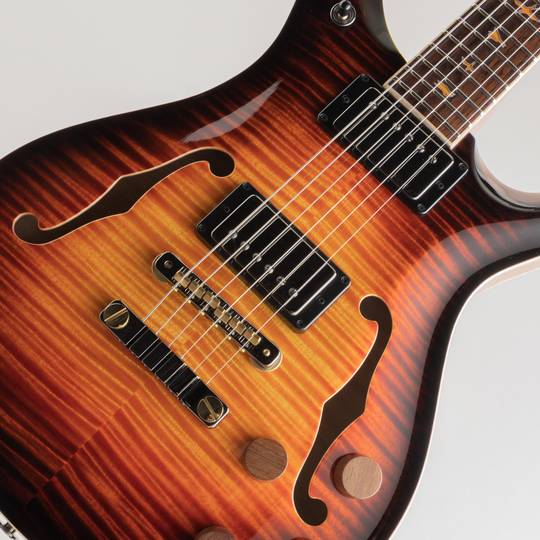 Paul Reed Smith Private Stock #9366 McCarty 594 Hollowbody II Electric Tiger Slow Smoked Burst 2021 ポールリードスミス サブ画像10
