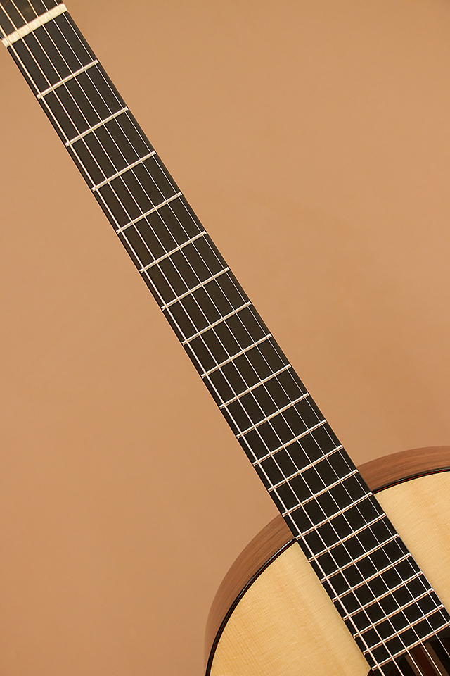 Stephen Strahm Guitars EROS Amazon Rosewood スティーブン・ストラム・ギターズ サブ画像5