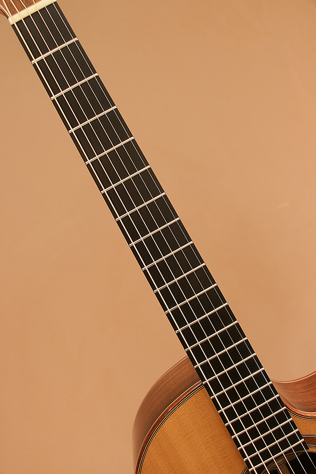 Ikko Masada Guitars Model A 政田一光 winsaleend サブ画像5