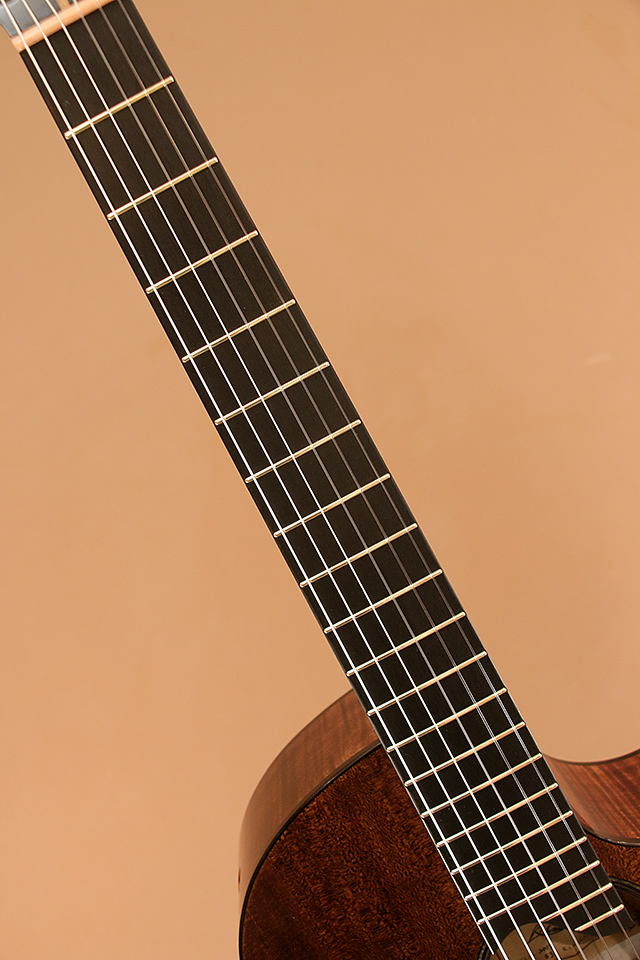 Ryosuke Kobayashi Guitars Nylon Crossover Electric RF European Maple 小林良輔 サブ画像5