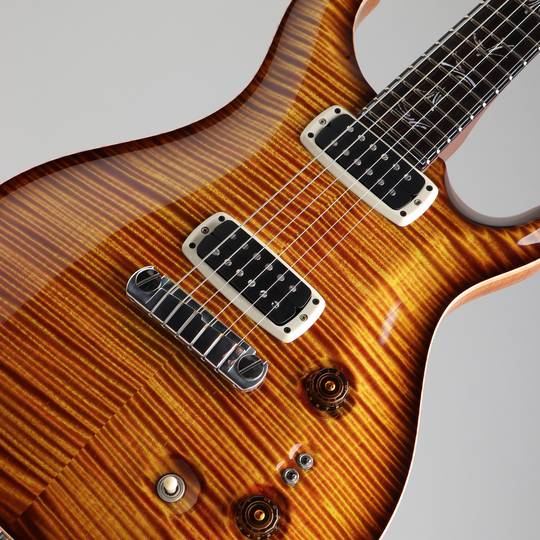 Paul Reed Smith Private Stock #5558 Paul's Graphite Guitar Prickly Pear Smoked Burst 2015 ポールリードスミス サブ画像10