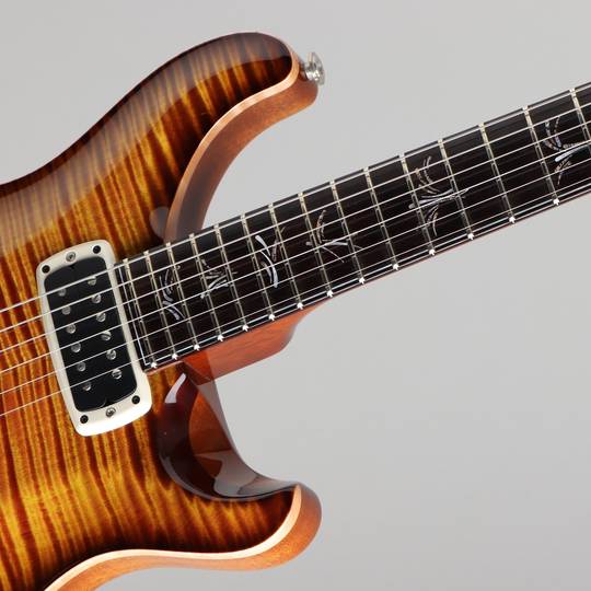 Paul Reed Smith Private Stock #5558 Paul's Graphite Guitar Prickly Pear Smoked Burst 2015 ポールリードスミス サブ画像11