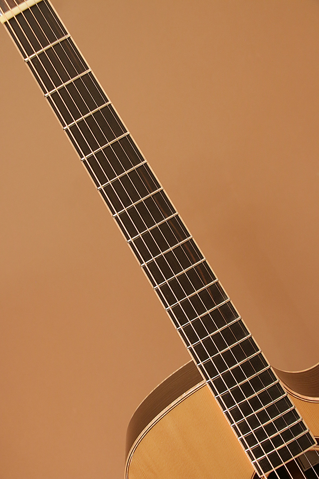 Maestro Guitars ORIGINAL SERIES Vera IR CSB マエストロギターズ SM21UAG サブ画像5