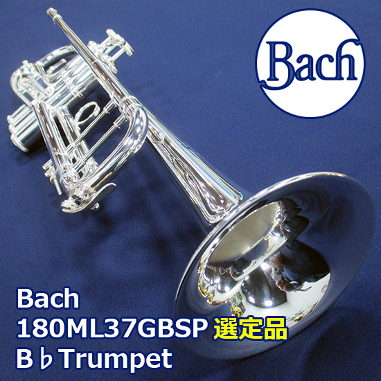 Bach トランペット 180ML37GBSP 選定品 バック B♭Trumpet