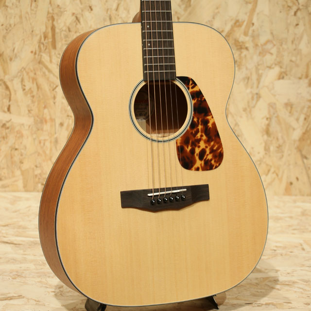 MORRIS F-021 NAT アコースティックギター-