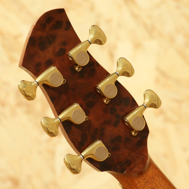FUJII GUITARS OM-Model Rosewood フジイギター サブ画像8