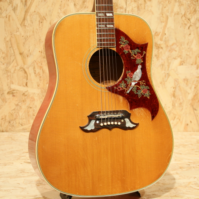 GIBSON DOVE NT ギブソン