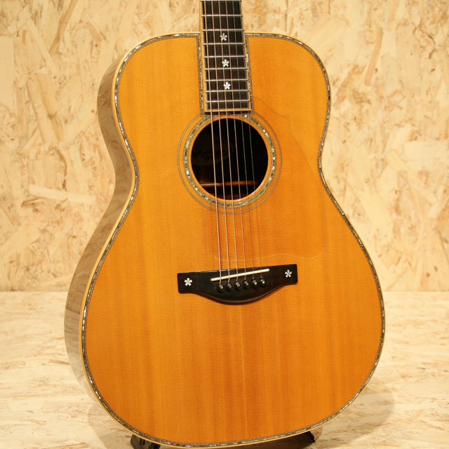 T'sT Terry's Terry TM Custom Rosewood テリーズテリー