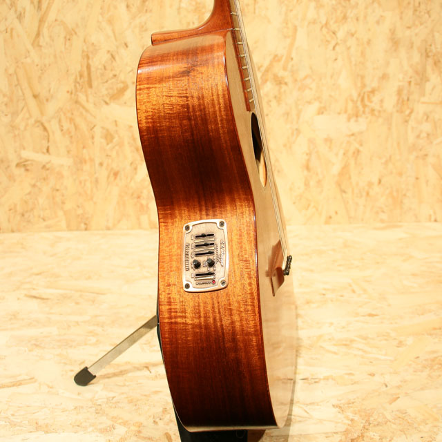 Anahola Stringed Instruments(Michael Sussman) KOKEEKOA KAOA'I アナホラストリングドインストゥルメンツマイケルサスマン サブ画像3