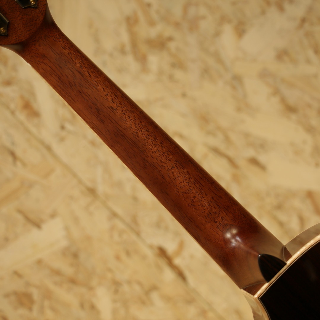 L.Luthier Rose EQ Tenor【サウンドメッセ出展予定商品】 エル・ルシアー 2024startuppluginz サブ画像6