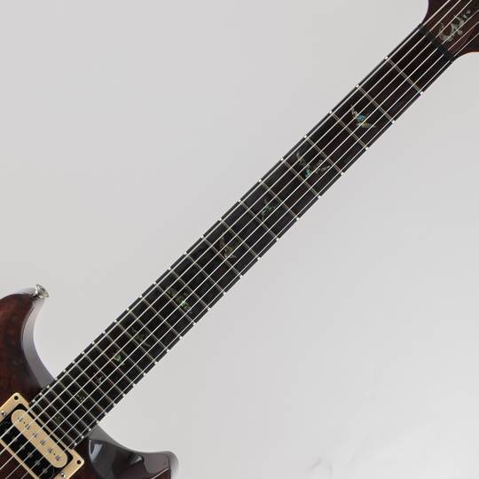 Paul Reed Smith 1980 West Street Limited BZF 2008 ポールリードスミス サブ画像5