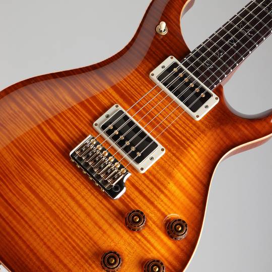 Paul Reed Smith Private Stock # 7310 McCarty 594 Tremolo BOTB Cover 2018 ポールリードスミス サブ画像10