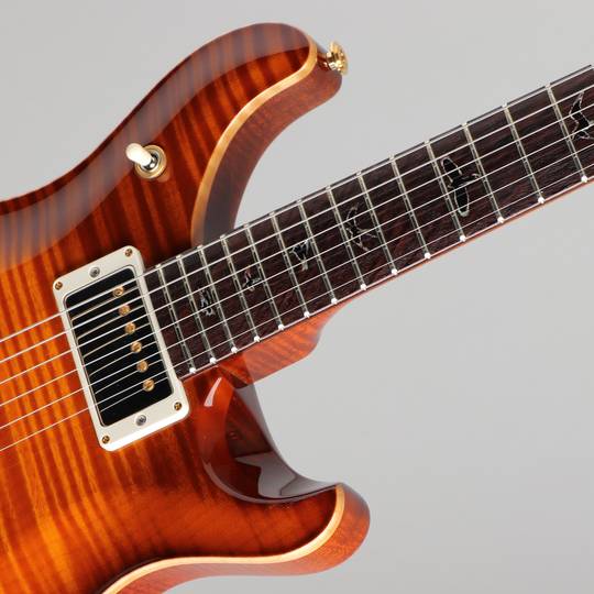 Paul Reed Smith Private Stock # 7310 McCarty 594 Tremolo BOTB Cover 2018 ポールリードスミス サブ画像11