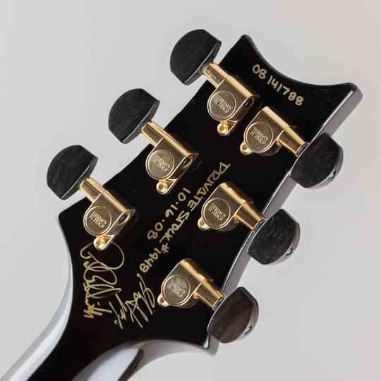 Paul Reed Smith Private Stock #1948 Custom24 Waterfall Special Charcoal W/Smoked Burst 2008 ポールリードスミス サブ画像6