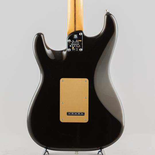 FENDER American Ultra Stratocaster/Texas Tea/M【S/N:US23024186】 フェンダー サブ画像1