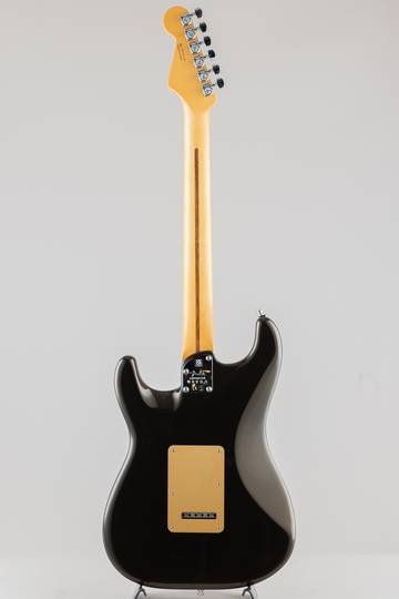 FENDER American Ultra Stratocaster/Texas Tea/M【S/N:US23024186】 フェンダー サブ画像3