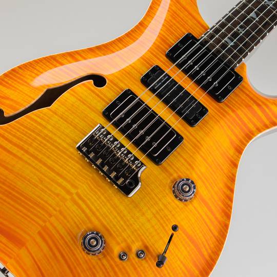Paul Reed Smith Private Stock #10033 Special Semi-Hollow Limited Edition Citrus Glow ポールリードスミス サブ画像10