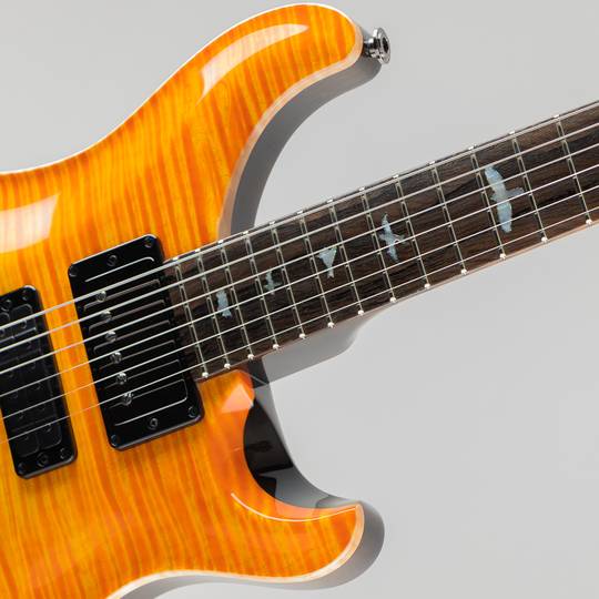 Paul Reed Smith Private Stock #10033 Special Semi-Hollow Limited Edition Citrus Glow ポールリードスミス サブ画像11