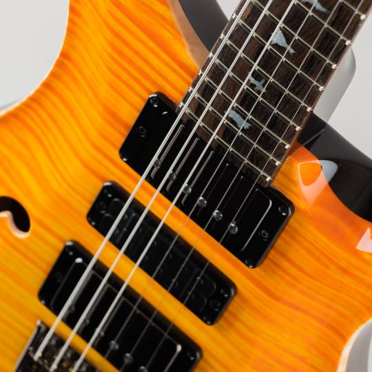 Paul Reed Smith Private Stock #10033 Special Semi-Hollow Limited Edition Citrus Glow ポールリードスミス サブ画像13
