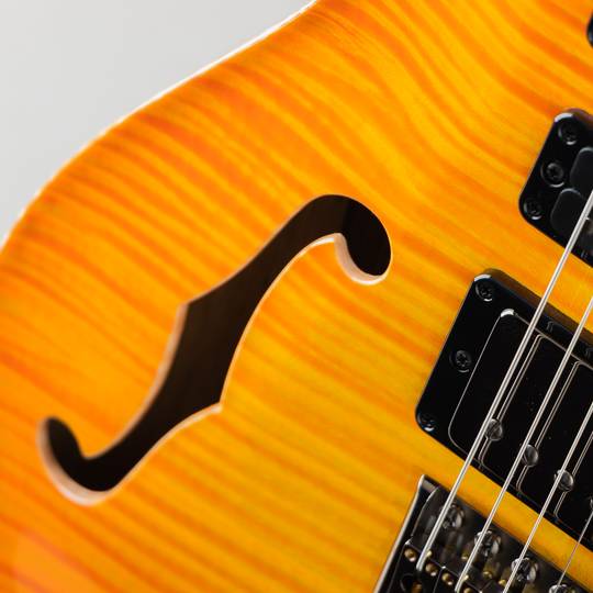 Paul Reed Smith Private Stock #10033 Special Semi-Hollow Limited Edition Citrus Glow ポールリードスミス サブ画像14