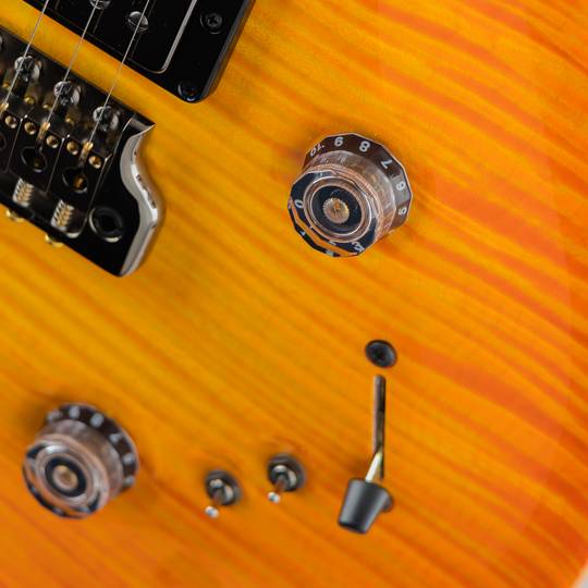 Paul Reed Smith Private Stock #10033 Special Semi-Hollow Limited Edition Citrus Glow ポールリードスミス サブ画像15