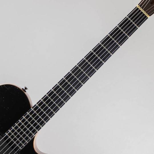 Nishgaki Guitars Arcus Semi Hollow Black ニシガキ ギターズ サブ画像5