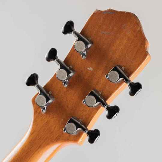 Nishgaki Guitars Arcus Semi Hollow Black ニシガキ ギターズ サブ画像6