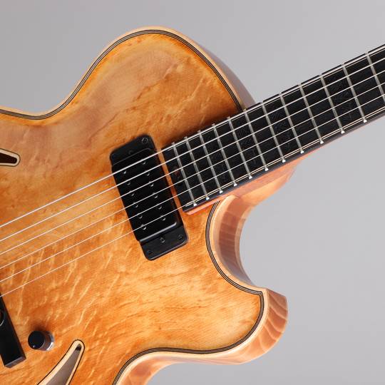Victor Baker Guitars Model 14 Semi Hollow Special Edition ヴィクター ベイカー サブ画像11